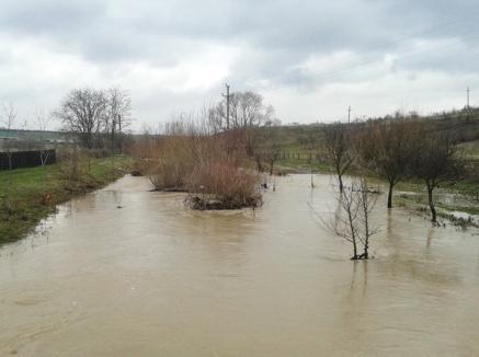 Veşti bune: Apele care au inundat Bihorul se retrag